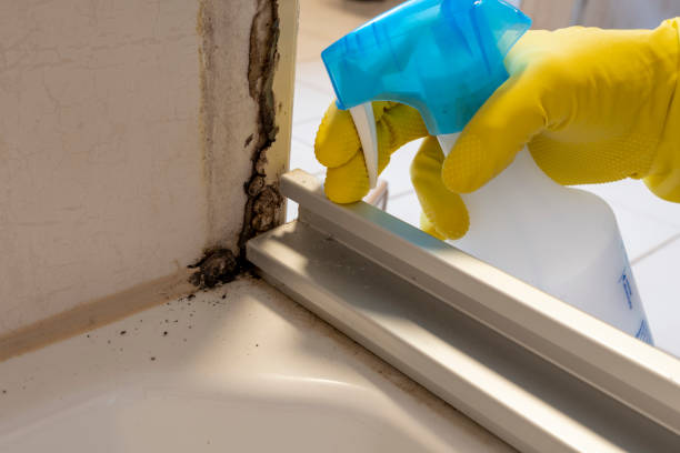 Best HVAC Mold Remediation in Centuria, WI