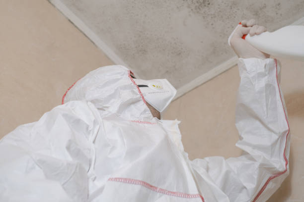 Best Insurance-Related Mold Remediation in Centuria, WI